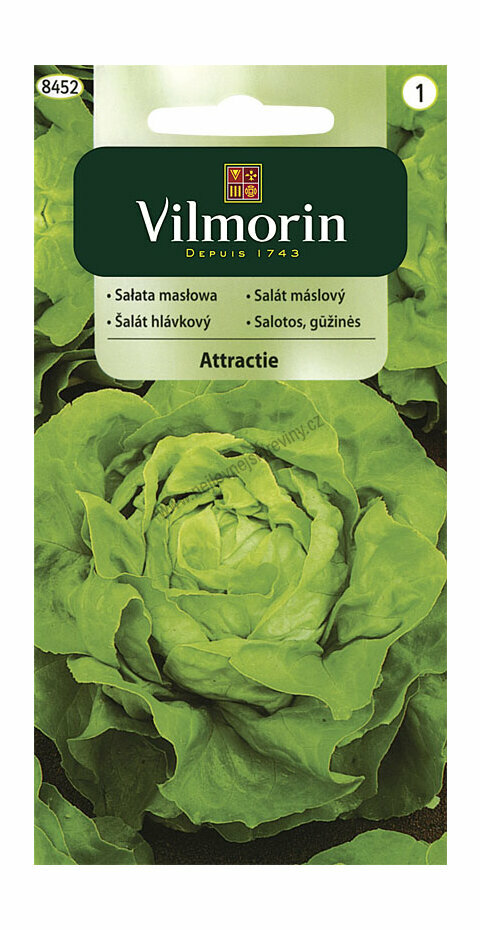 Vilmorin CLASSIC Salát hlávkový ATTRAKTION 1 g